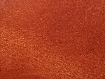 Primavera konjakas 06