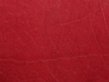 Primavera raudona 11