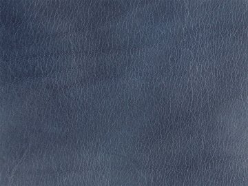 Primavera azul marino 04